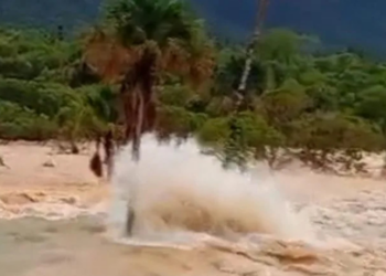 Barragem sofre rompimento parcial em Ponte Alta do Bom Jesus, no Tocantins. Bombeiros atuam no local e moradores registram avanço da água após falha na crista da estrutura.