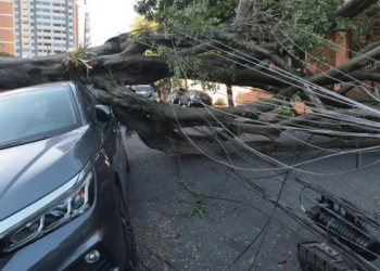 Ventos de 100 km/h derrubam árvores, causam apagão e cancelam voos em São Paulo