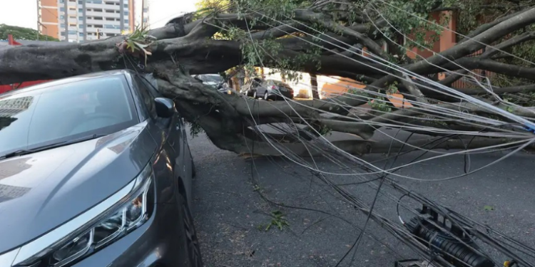 Ventos de 100 km/h derrubam árvores, causam apagão e cancelam voos em São Paulo