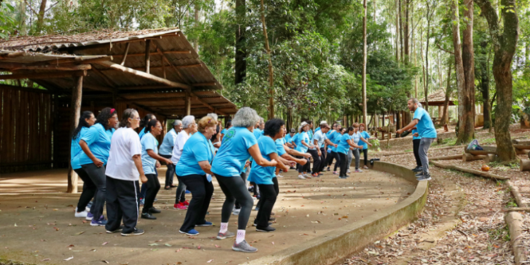 Idosos participam de sessão de capoterapia, atividade física inspirada na capoeira, promovida por programas de assistência social no Piauí.