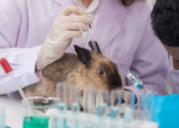 Pesquisadores da UFPR criam pele humana sintética por bioimpressão 3D, oferecendo alternativa ética aos testes em animais para cosméticos, perfumes e produtos de higiene pessoal.