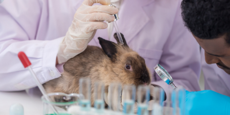 Pesquisadores da UFPR criam pele humana sintética por bioimpressão 3D, oferecendo alternativa ética aos testes em animais para cosméticos, perfumes e produtos de higiene pessoal.