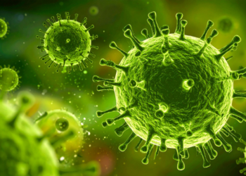Pesquisadores brasileiros identificam pela primeira vez a variante K do vírus influenza A (H3N2) no país. Embora importada, especialistas destacam que vacinação e cuidados básicos seguem sendo essenciais.