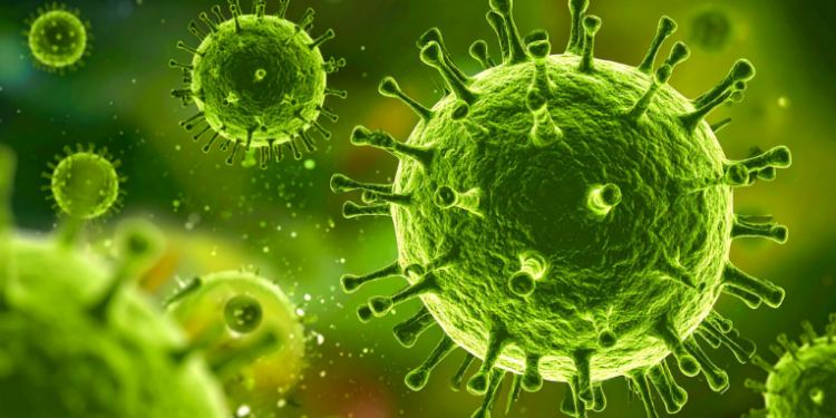 Pesquisadores brasileiros identificam pela primeira vez a variante K do vírus influenza A (H3N2) no país. Embora importada, especialistas destacam que vacinação e cuidados básicos seguem sendo essenciais.