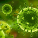 Pesquisadores brasileiros identificam pela primeira vez a variante K do vírus influenza A (H3N2) no país. Embora importada, especialistas destacam que vacinação e cuidados básicos seguem sendo essenciais.