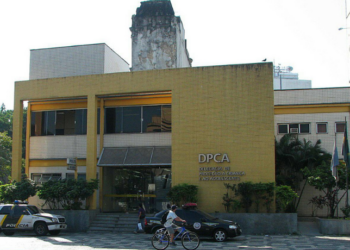 Polícia Civil prende mulher que aplicava golpes em idosos usando falso programa social de cestas básicas no Rio; quadrilha contratava empréstimos e fazia transferências via PIX.