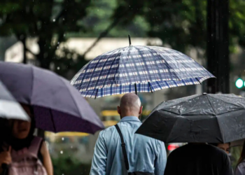 Uma tempestade atinge a região metropolitana de São Paulo, principalmente sul e oeste, deixando mais de 130 mil clientes sem energia, causando quedas de árvores, enchentes e danos em prédios.