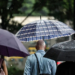 Uma tempestade atinge a região metropolitana de São Paulo, principalmente sul e oeste, deixando mais de 130 mil clientes sem energia, causando quedas de árvores, enchentes e danos em prédios.