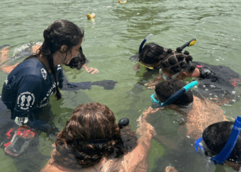 Um grupo de 31 jovens finaliza o curso de guardiões dos cavalos-marinhos, aprendendo a proteger a Laguna de Araruama, reduzir impactos ambientais e conscientizar a comunidade sobre a preservação marinha.