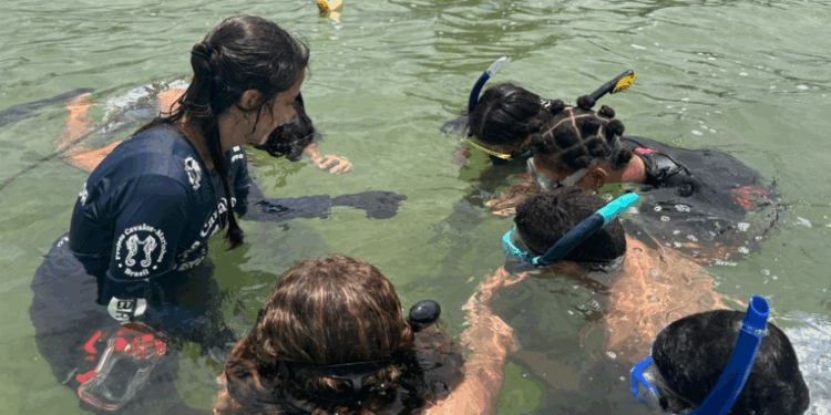 Um grupo de 31 jovens finaliza o curso de guardiões dos cavalos-marinhos, aprendendo a proteger a Laguna de Araruama, reduzir impactos ambientais e conscientizar a comunidade sobre a preservação marinha.