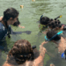 Um grupo de 31 jovens finaliza o curso de guardiões dos cavalos-marinhos, aprendendo a proteger a Laguna de Araruama, reduzir impactos ambientais e conscientizar a comunidade sobre a preservação marinha.