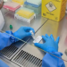 Anvisa aprova teste rápido brasileiro que identifica hantavirose em 20 minutos. Tecnologia da Fiocruz e UFRJ deve ampliar o diagnóstico precoce no SUS.