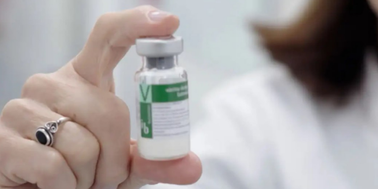 Butantan-DV: primeira vacina de dose única contra dengue é aplicada no Brasil