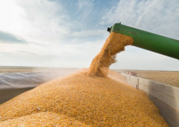 Produção agrícola do Brasil atinge recorde histórico em 2025, com 346,1 milhões de toneladas de grãos, segundo o IBGE, impulsionada por produtividade e tecnologia.