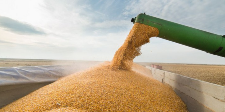 Produção agrícola do Brasil atinge recorde histórico em 2025, com 346,1 milhões de toneladas de grãos, segundo o IBGE, impulsionada por produtividade e tecnologia.