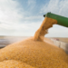 Produção agrícola do Brasil atinge recorde histórico em 2025, com 346,1 milhões de toneladas de grãos, segundo o IBGE, impulsionada por produtividade e tecnologia.