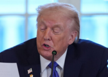 Trump diz que não vê necessidade de capturar Vladimir Putin