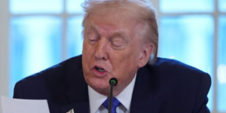 Trump diz que não vê necessidade de capturar Vladimir Putin