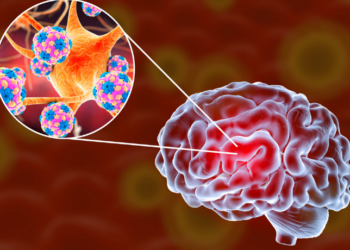 Meningite continua representando risco à saúde no Brasil. Saiba quais são os sintomas, formas de transmissão, prevenção com vacinação e cuidados para reduzir o contágio.