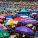 O verão no Rio de Janeiro registra relatos de preços abusivos em praias, com aluguel de cadeiras e ombrelones caros. Prefeitura estuda tabelamento de valores e turistas podem acionar o Procon.