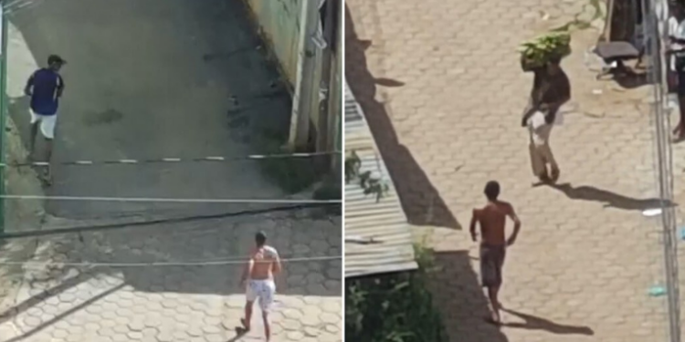 Drones da Polícia Civil monitoram suspeitos de tráfico na Vila Cauhy