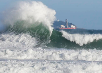 Estudo da UFF revela que 60% da costa do Rio de Janeiro apresenta alto risco climático. Restauração de ecossistemas e proteção de habitats naturais são apontadas como estratégias eficazes.