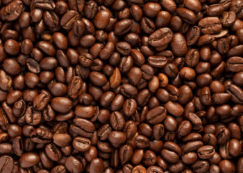 O Brasil exportou 40 milhões de sacas de café em 2025, volume 20,8% menor que em 2024, mas atingiu receita recorde de US$ 15,586 bilhões. Alemanha e EUA lideram importações, e o arábica domina o mercado.