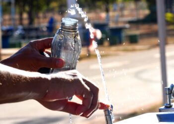Estudo aponta que garrafas térmicas mal higienizadas podem concentrar mais bactérias do que vasos sanitários.