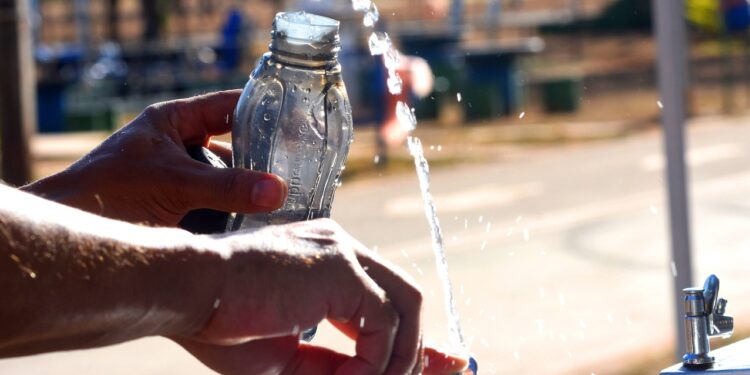 Estudo aponta que garrafas térmicas mal higienizadas podem concentrar mais bactérias do que vasos sanitários.