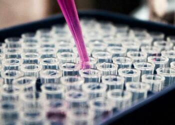 Estudo do Reino Unido indica que a menopausa está associada a mudanças cerebrais semelhantes às observadas no Alzheimer, especialmente em regiões da memória.