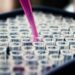 Estudo do Reino Unido indica que a menopausa está associada a mudanças cerebrais semelhantes às observadas no Alzheimer, especialmente em regiões da memória.