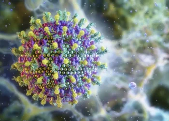 Após dois casos do vírus Nipah na Índia, Ministério da Saúde afirma que não há risco para o Brasil. OMS aponta baixo potencial de disseminação global.