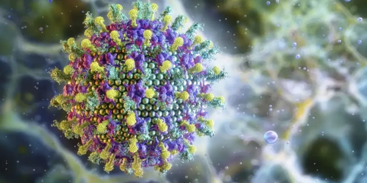 Após dois casos do vírus Nipah na Índia, Ministério da Saúde afirma que não há risco para o Brasil. OMS aponta baixo potencial de disseminação global.