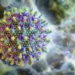 Após dois casos do vírus Nipah na Índia, Ministério da Saúde afirma que não há risco para o Brasil. OMS aponta baixo potencial de disseminação global.