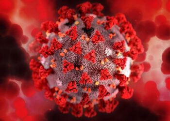 Estudo revela que bactérias intestinais ajudam o sistema imunológico de pessoas com HIV e podem se tornar alvo terapêutico no futuro.