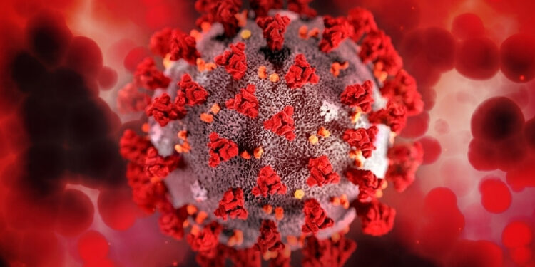 Estudo revela que bactérias intestinais ajudam o sistema imunológico de pessoas com HIV e podem se tornar alvo terapêutico no futuro.