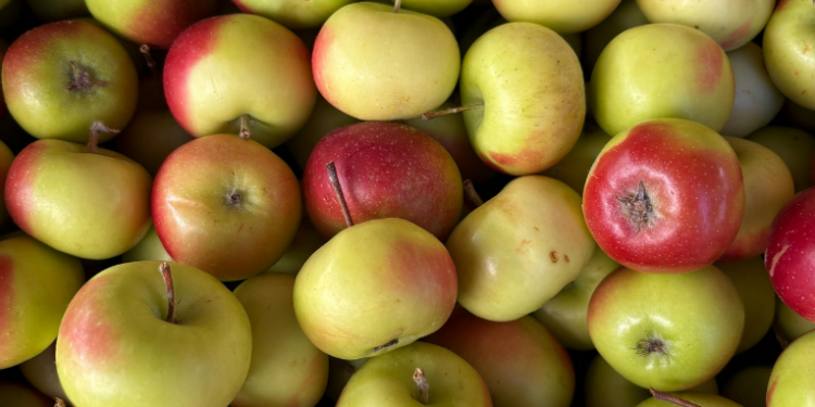 Com a volta às aulas, especialistas orientam pais a priorizar alimentos in natura e minimizar ultraprocessados nas merendas, prevenindo doenças e promovendo hábitos saudáveis desde a infância.