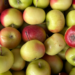 Com a volta às aulas, especialistas orientam pais a priorizar alimentos in natura e minimizar ultraprocessados nas merendas, prevenindo doenças e promovendo hábitos saudáveis desde a infância.