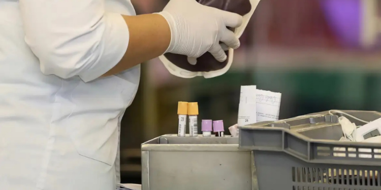 Hemorio inicia campanha CarnaHemorio no Carnaval 2026 para estimular doações de sangue, com participação da rainha de bateria da Unidos da Tijuca. Gesto simples pode salvar até quatro vidas.