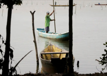 Pagamento do seguro-defeso começa em 17 de fevereiro para pescadores artesanais. Cerca de 47 mil trabalhadores receberão um salário mínimo nesta primeira fase, segundo o governo federal.