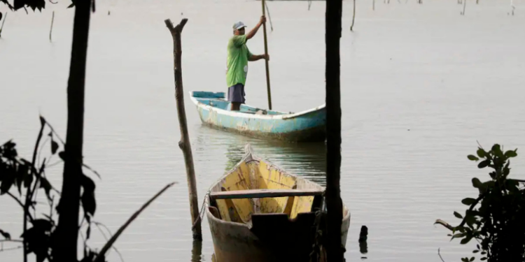 Pagamento do seguro-defeso começa em 17 de fevereiro para pescadores artesanais. Cerca de 47 mil trabalhadores receberão um salário mínimo nesta primeira fase, segundo o governo federal.