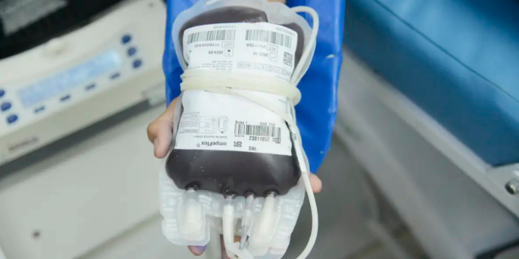 Durante o Carnaval, Hemominas lança campanha “Brinque, extravase e pratique a solidariedade” para estimular a doação de sangue. Tipos A+, A-, O+ e O- estão em situação crítica.
