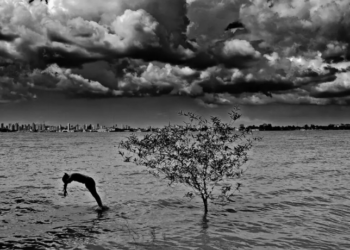 O CCBB Rio inaugura Vetores-Vertentes, exposição que celebra o trabalho de fotógrafas do Pará com 170 obras, experiências imersivas e narrativa feminina única. Entrada gratuita até 30 de março.