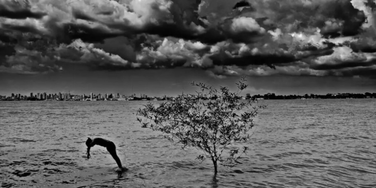 O CCBB Rio inaugura Vetores-Vertentes, exposição que celebra o trabalho de fotógrafas do Pará com 170 obras, experiências imersivas e narrativa feminina única. Entrada gratuita até 30 de março.
