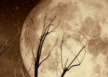 Fase da Lua hoje, 7/02/2026: saiba como está o céu neste sábado