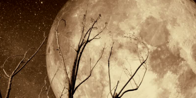 Fase da Lua hoje, 7/02/2026: saiba como está o céu neste sábado