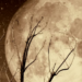 Fase da Lua hoje, 7/02/2026: saiba como está o céu neste sábado