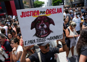 Casos de violência envolvendo crianças e adolescentes têm chocado o país. Entenda o que a psicologia explica sobre transtorno de conduta, violência precoce e por que isso não é sinônimo de psicopatia.
