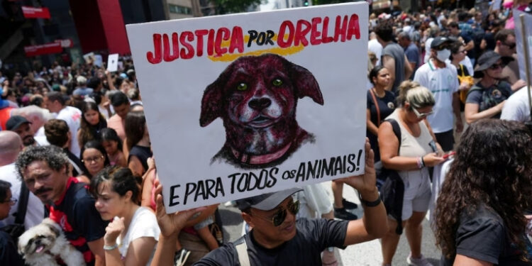 Casos de violência envolvendo crianças e adolescentes têm chocado o país. Entenda o que a psicologia explica sobre transtorno de conduta, violência precoce e por que isso não é sinônimo de psicopatia.