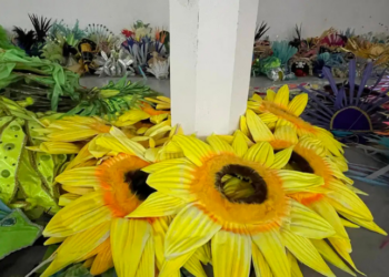 O Projeto Sustenta Carnaval reutiliza fantasias descartadas nas escolas de samba do Rio, gerando empregos, fomentando economia criativa e promovendo sustentabilidade cultural e ambiental.